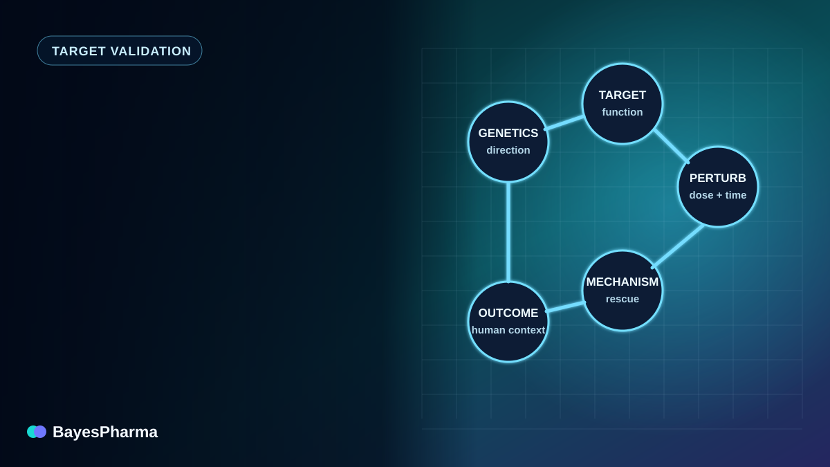 A causal evidence graph connecting human genetics, target perturbation, biological mechanism, and disease outcome.